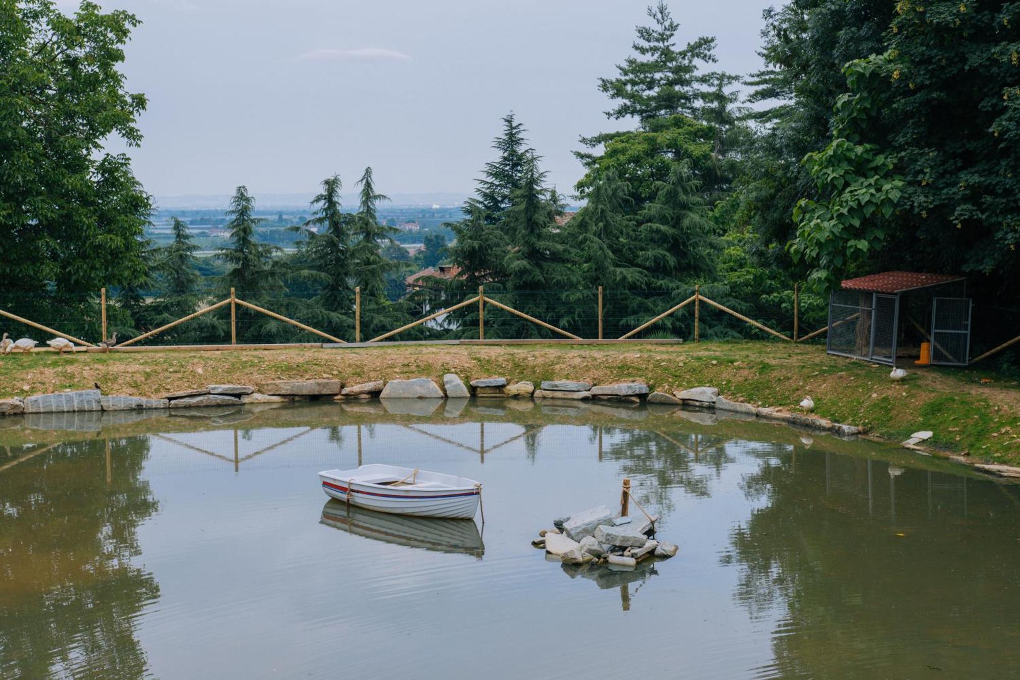 Agriturismo Agli Ulivi サルッツォ エクステリア 写真